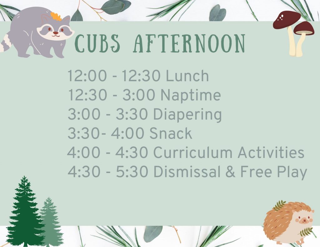 Cubs Afternoon: 12 to 12:30 is lunch, 12:30 to 3 is nap time, 3 to 3:30 is diapering, 3:30 to 4 is snack time, 4 to 4:30 is curriculum activities, 4:30 to 5:30 is dismissal and free play