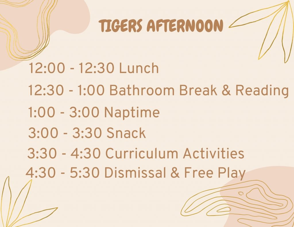 Tigers Afternoon: noon to 12:30 is lunch, 12:30 to 1 is bathroom bread and reading, 1 to 3 is nap time, 3 to 3:30 is snack time, 3:30 to 4:30 is curriculum activities, 4:30 to 5:30 is dismissal and free play