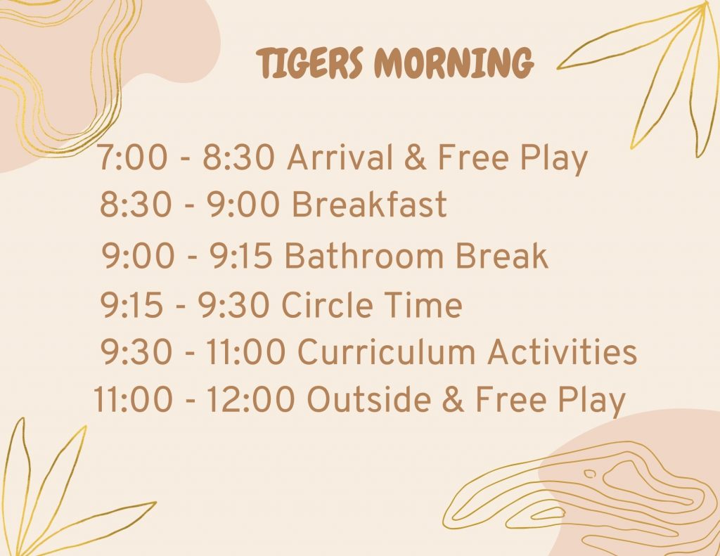 Tigers Morning: 7 to 8:30 is arrival and free play, 8:30 to 9 is breakfast, 9 to 9:15 is bathroom break, 9:15 to 9:30 is circle time, 9:30 to 11:00 is curriculum activities, 11:00 to noon is outside and free play